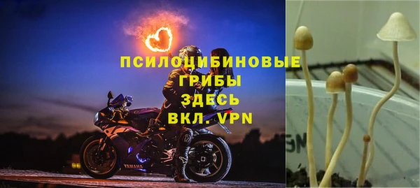крисы Алзамай
