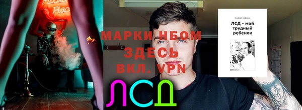 крисы Алзамай