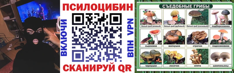продажа наркотиков  Алексин  Псилоцибиновые грибы Cubensis 
