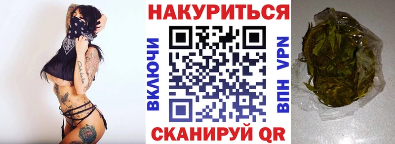 где продают наркотики  Алексин  Бошки марихуана сатива 